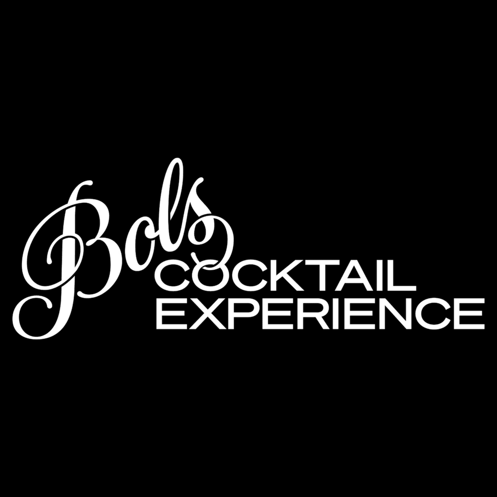 logo affiliate programma Bols.com logo: Bols.com