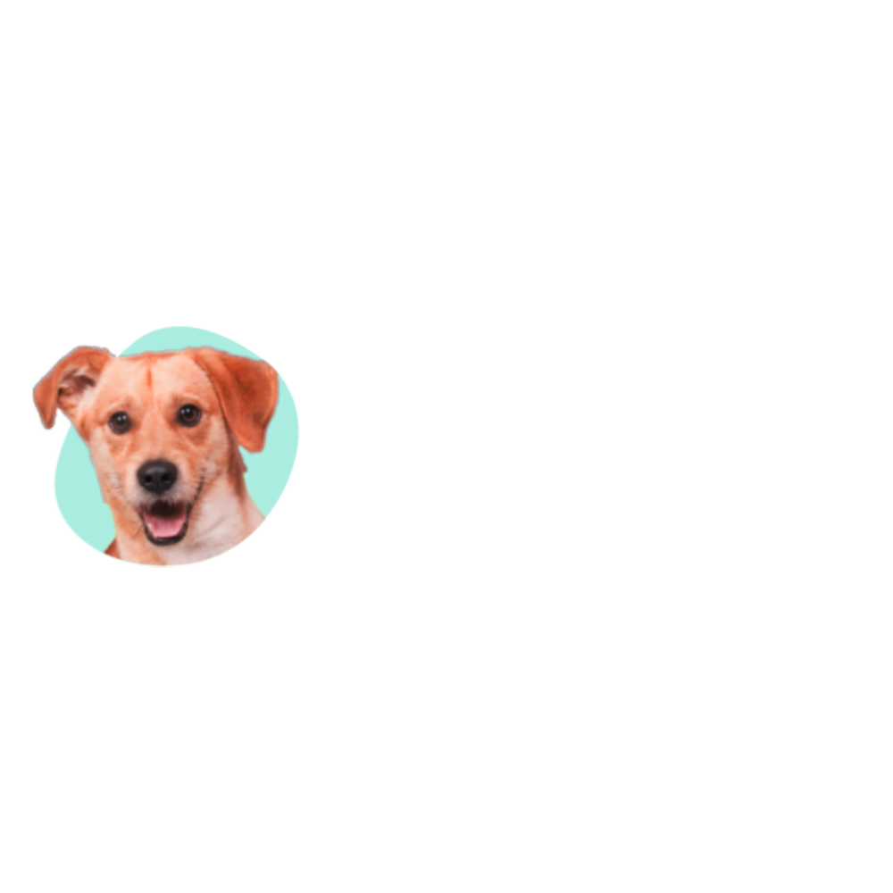 logo affiliate programma DKproducts.nl logo: DKproducts.nl