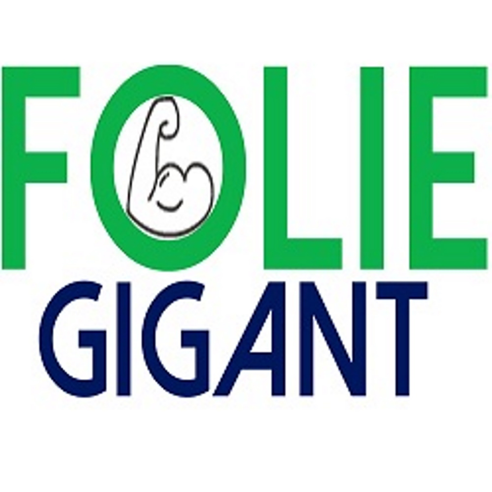 logo affiliate programma Foliegigant.nl logo: Foliegigant.nl
