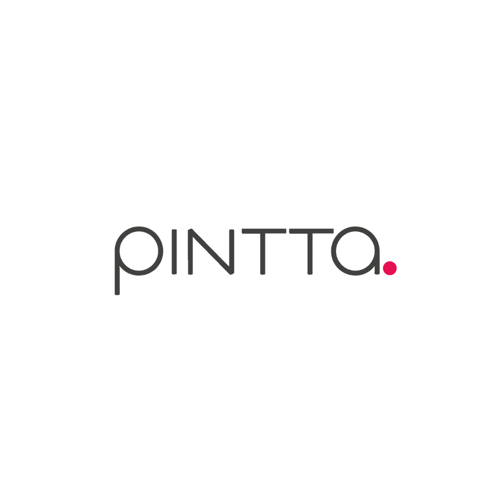 Logo van Pintta.com/nl